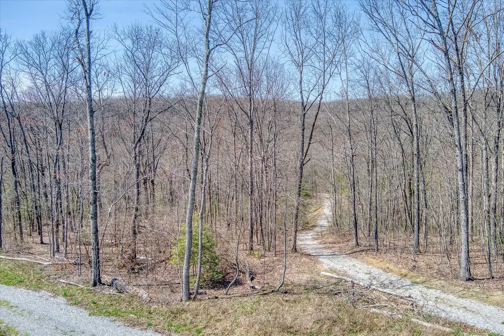 74 Black Cat Trail Rockwood TN 37854
