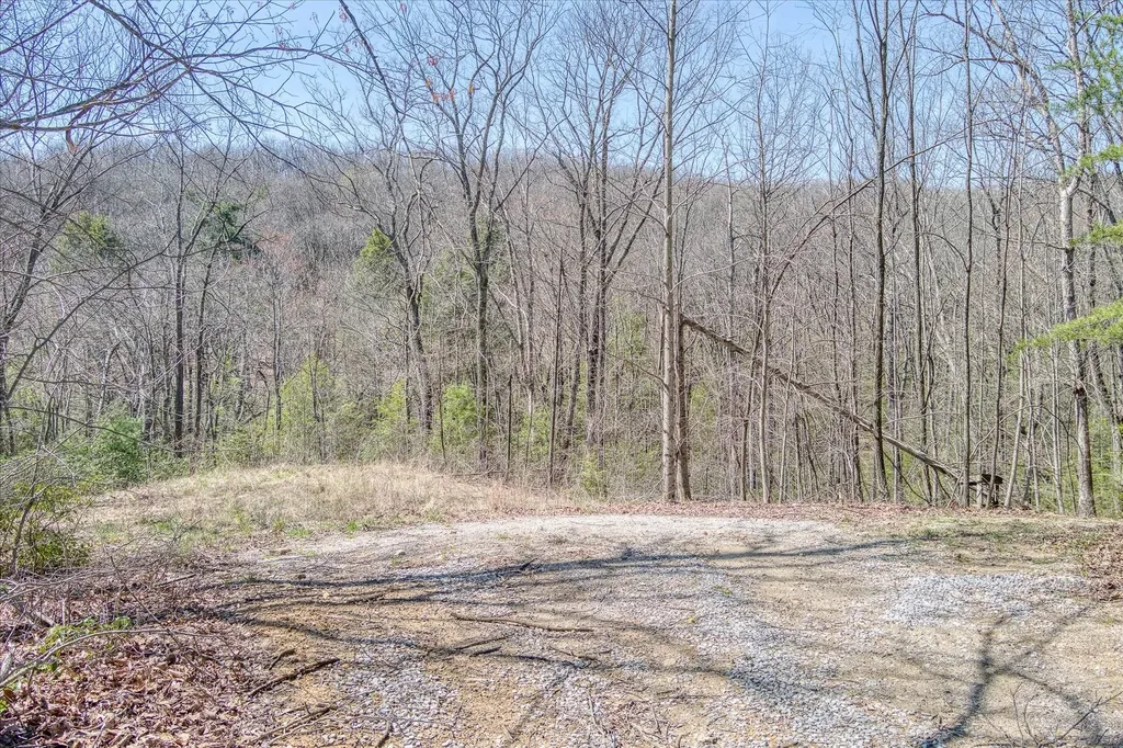 74 Black Cat Trail Rockwood TN 37854