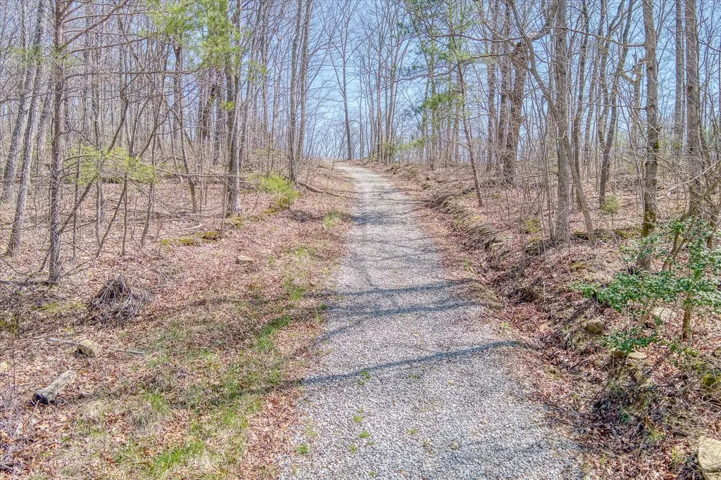 74 Black Cat Trail Rockwood TN 37854