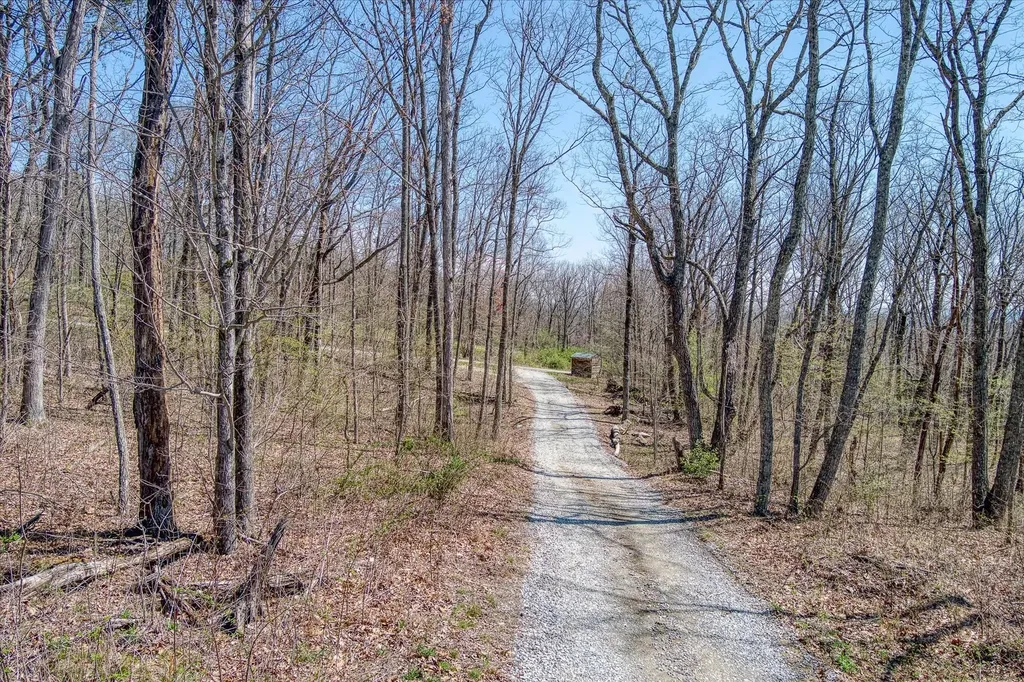 74 Black Cat Trail Rockwood TN 37854