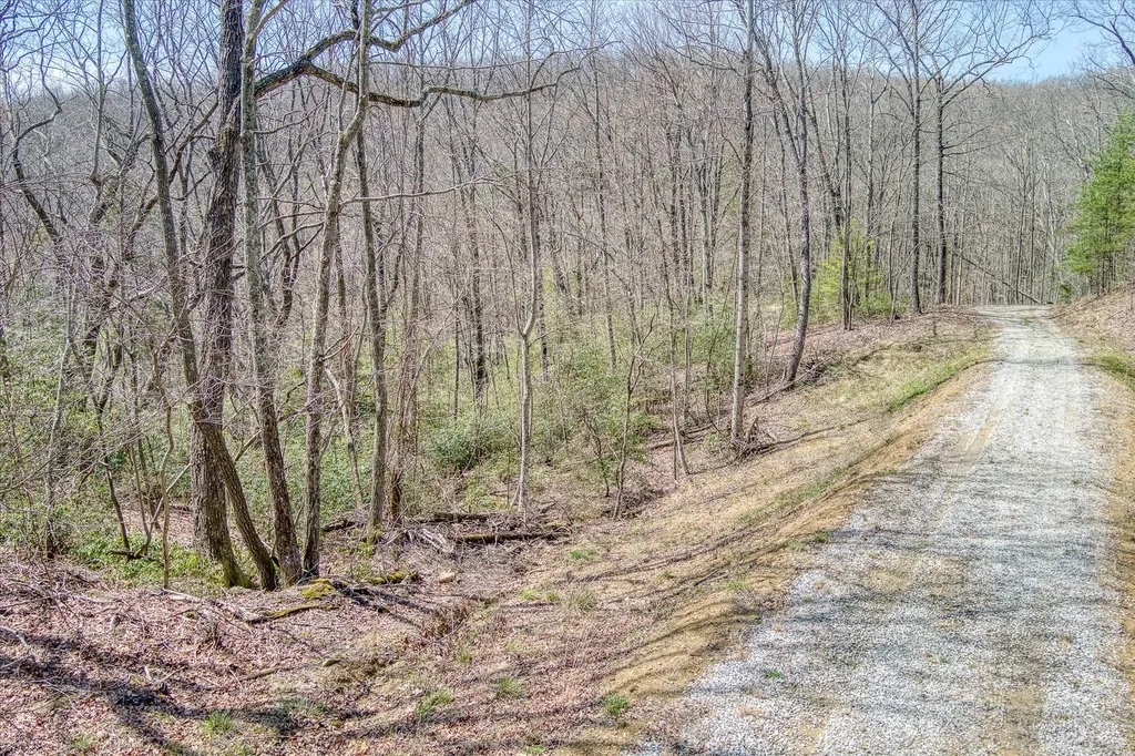 74 Black Cat Trail Rockwood TN 37854