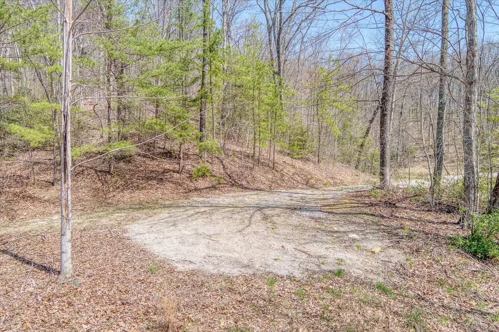 74 Black Cat Trail Rockwood TN 37854