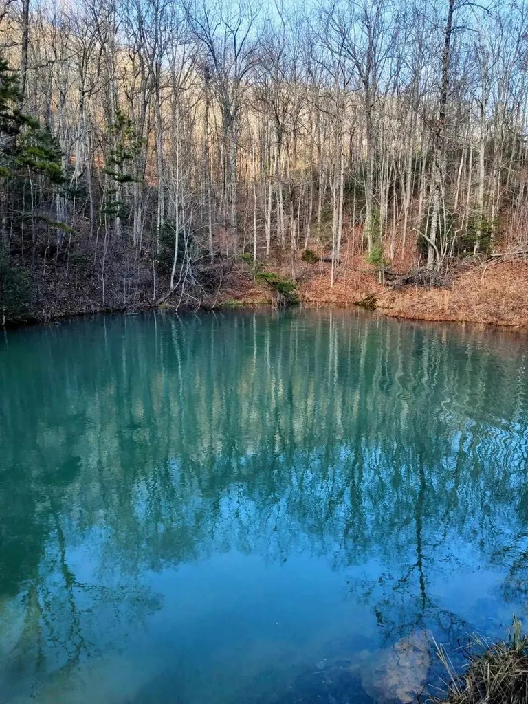 74 Black Cat Trail Rockwood TN 37854