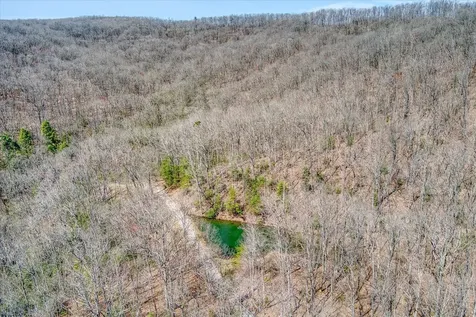 74 Black Cat Trail Rockwood TN 37854
