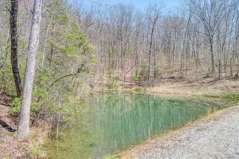 74 Black Cat Trail Rockwood TN 37854