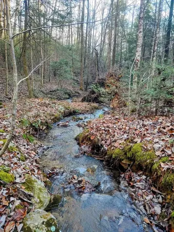 74 Black Cat Trail Rockwood TN 37854