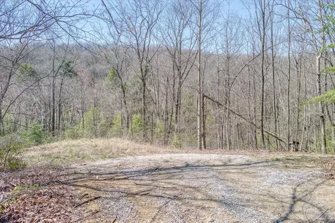 74 Black Cat Trail Rockwood TN 37854