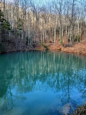 74 Black Cat Trail Rockwood TN 37854