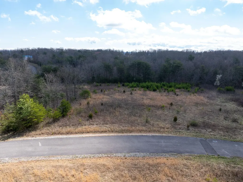 0 Gray Rock View Pikeville TN 37367