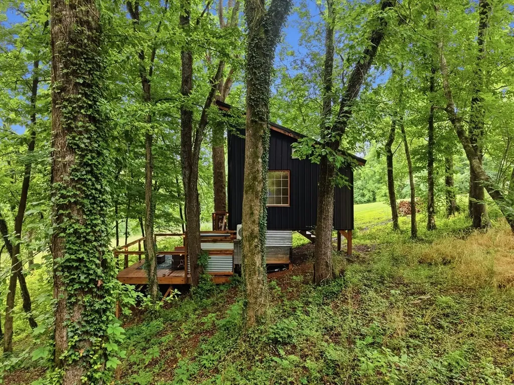 145 Gamble Street Doyle TN 38559
