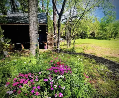 145 Gamble Street Doyle TN 38559