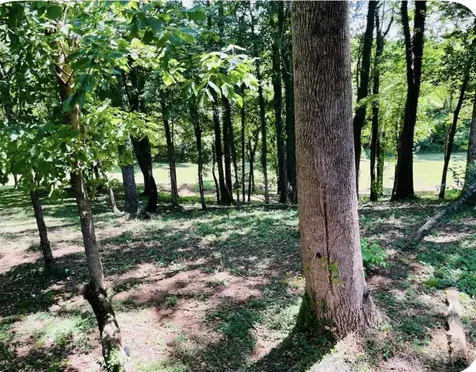 145 Gamble Street Doyle TN 38559