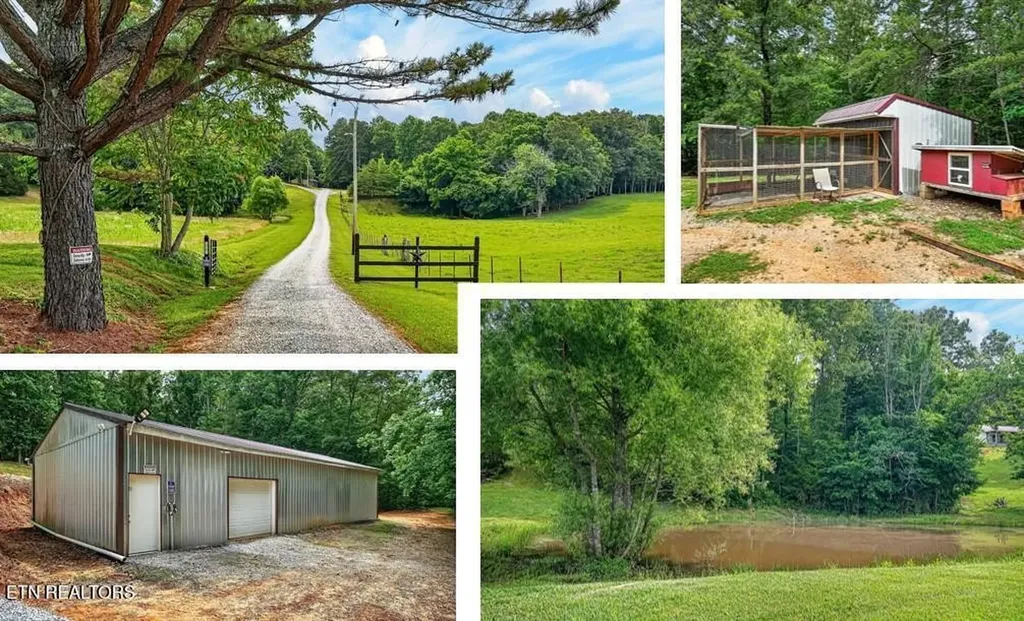 211 Arizona Lane Walling TN 38587
