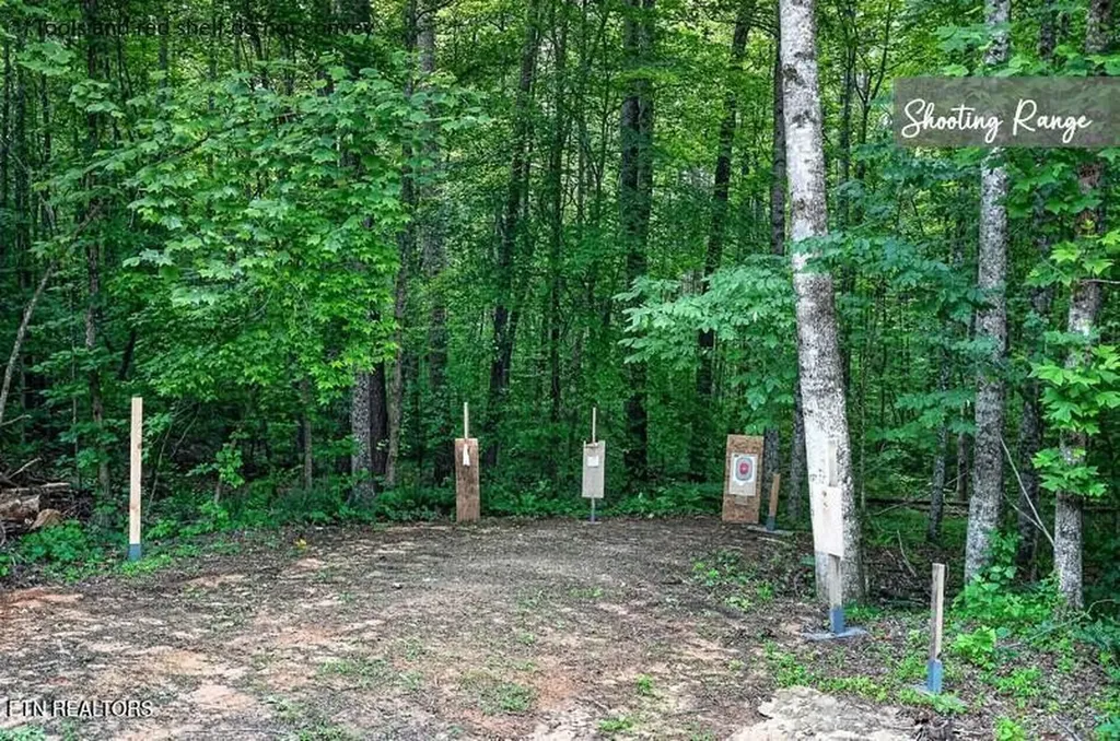 211 Arizona Lane Walling TN 38587