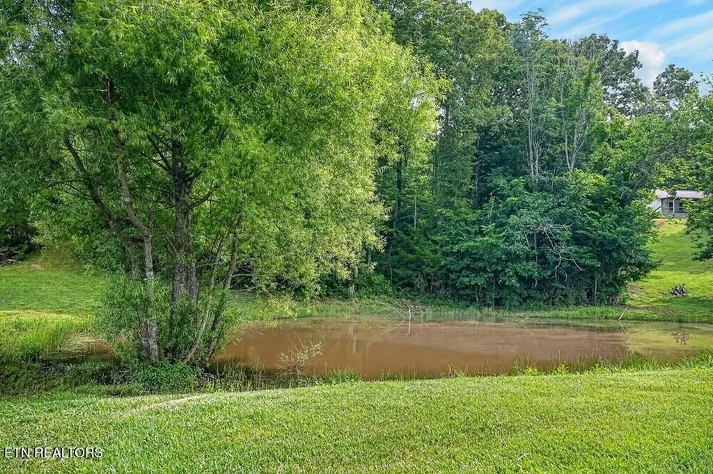 211 Arizona Lane Walling TN 38587