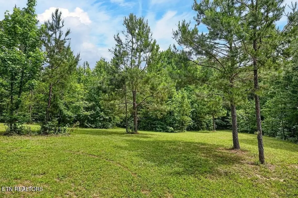 211 Arizona Lane Walling TN 38587