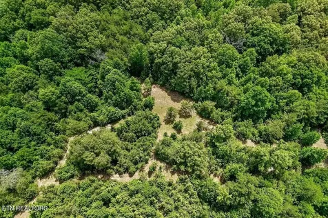 211 Arizona Lane Walling TN 38587