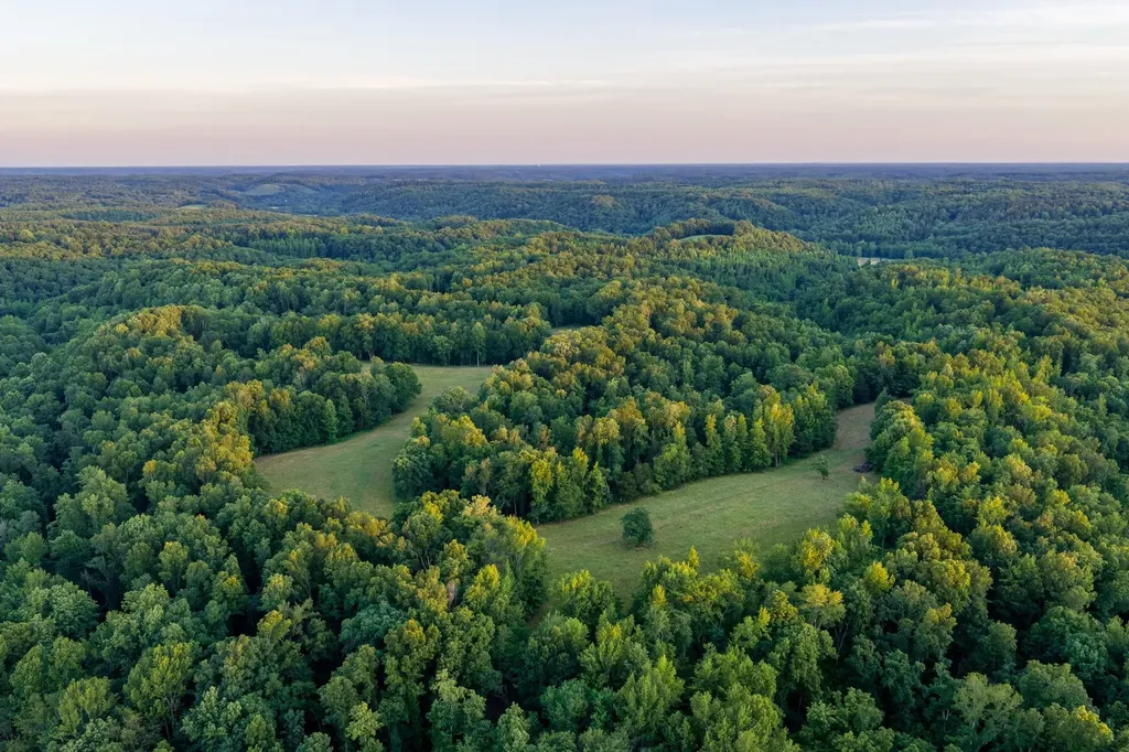 2073 Dog Branch Road Prospect TN 38477