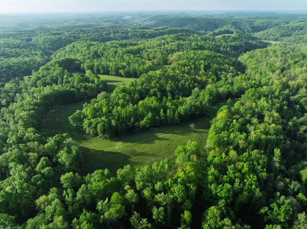2073 Dog Branch Road Prospect TN 38477