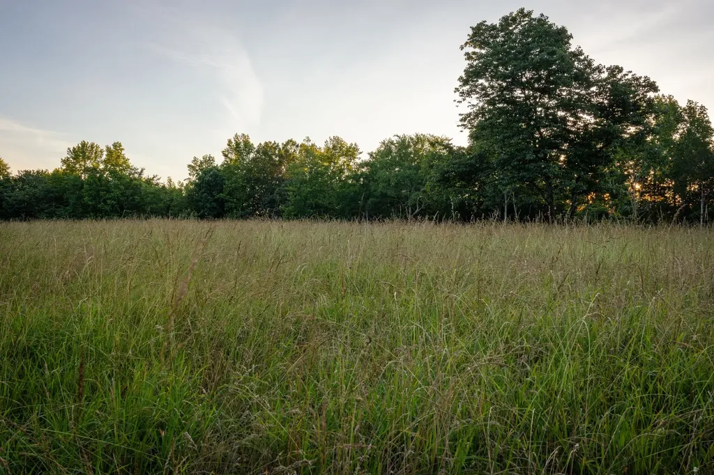 2073 Dog Branch Road Prospect TN 38477