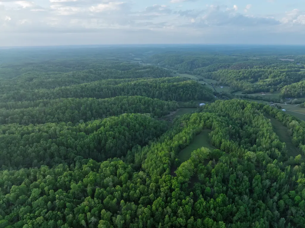 2073 Dog Branch Road Prospect TN 38477