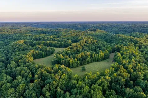 2073 Dog Branch Road Prospect TN 38477