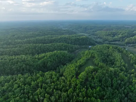 2073 Dog Branch Road Prospect TN 38477