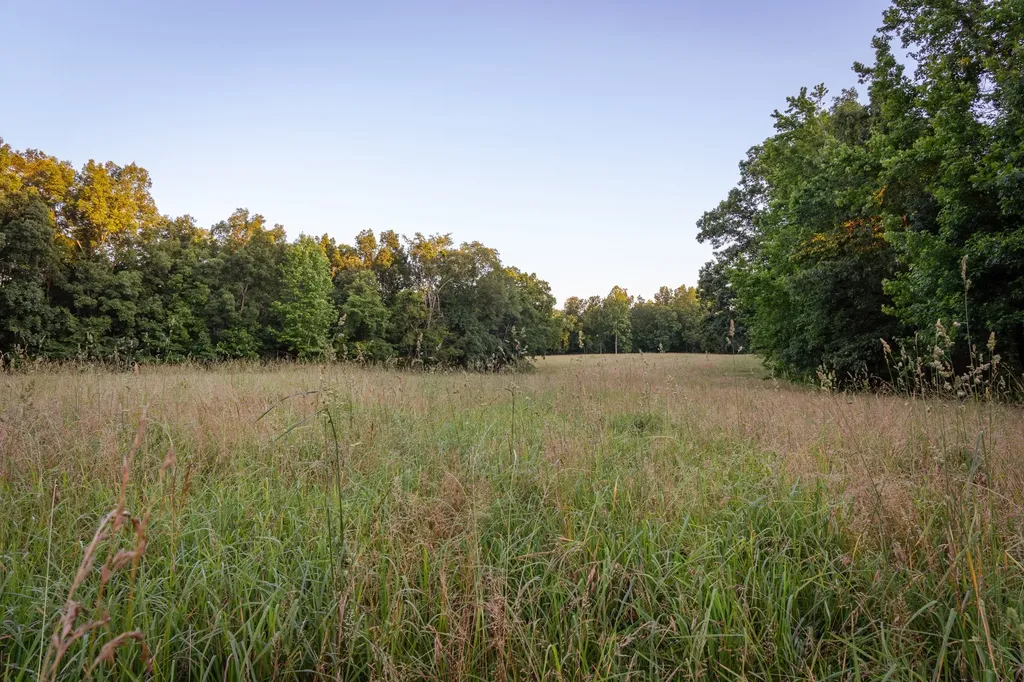 2073 Dog Branch Road Prospect TN 38477