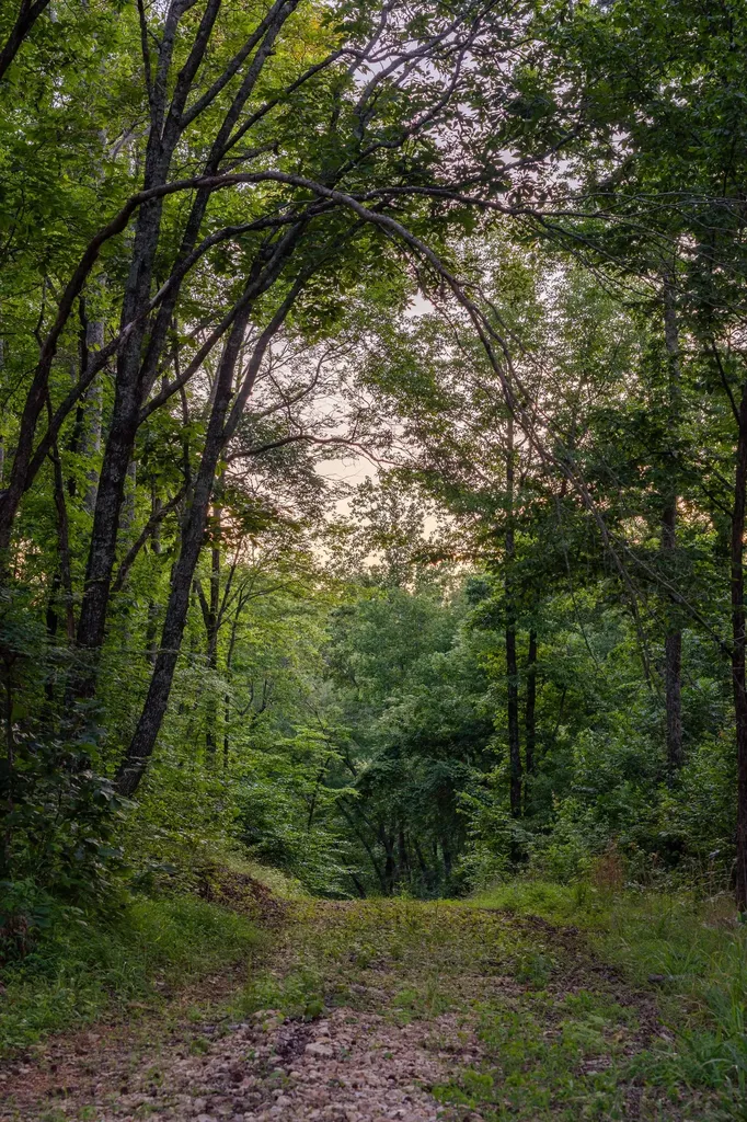2073 Dog Branch Road Prospect TN 38477