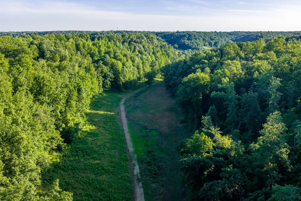 2073 Dog Branch Road Prospect TN 38477