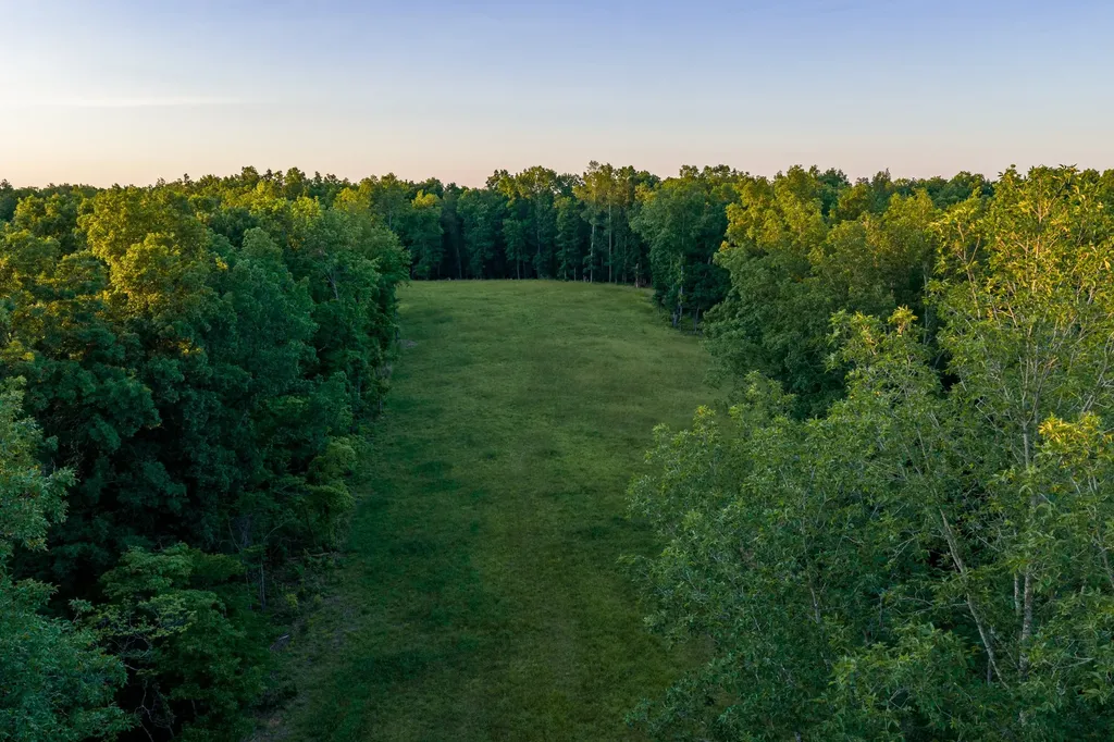 2073 Dog Branch Road Prospect TN 38477