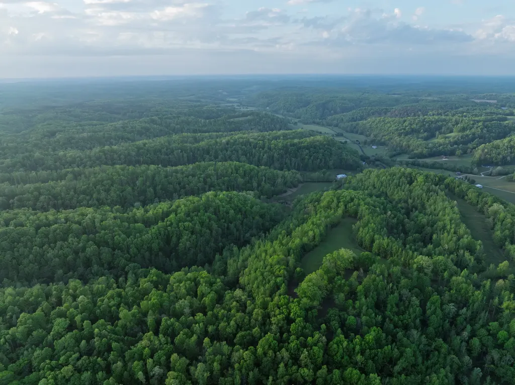 2073 Dog Branch Road Prospect TN 38477