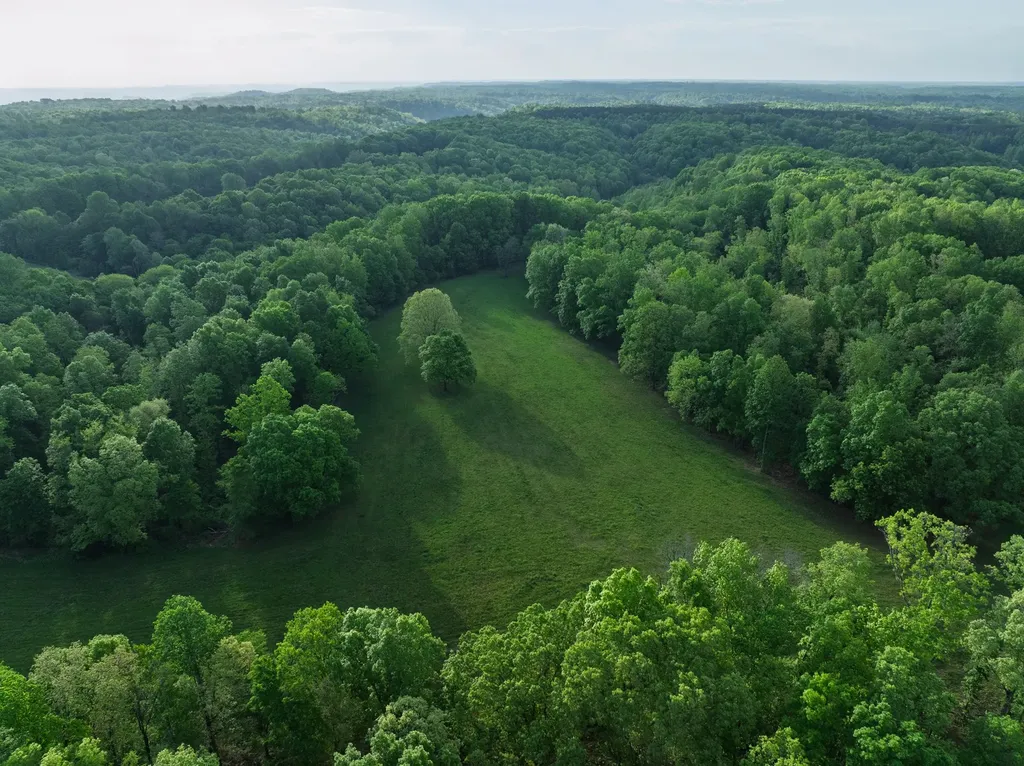 2073 Dog Branch Road Prospect TN 38477