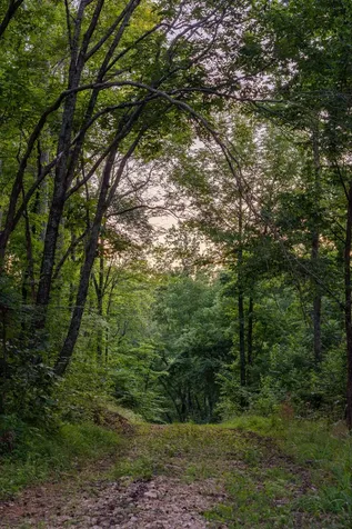 2073 Dog Branch Road Prospect TN 38477