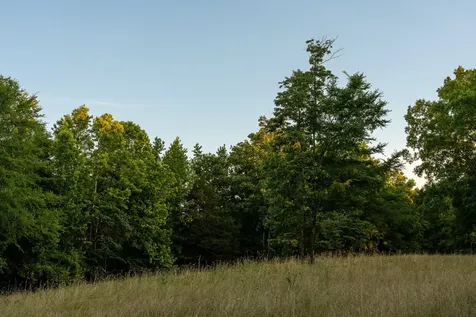 2073 Dog Branch Road Prospect TN 38477