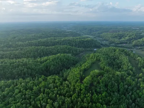 2073 Dog Branch Road Prospect TN 38477