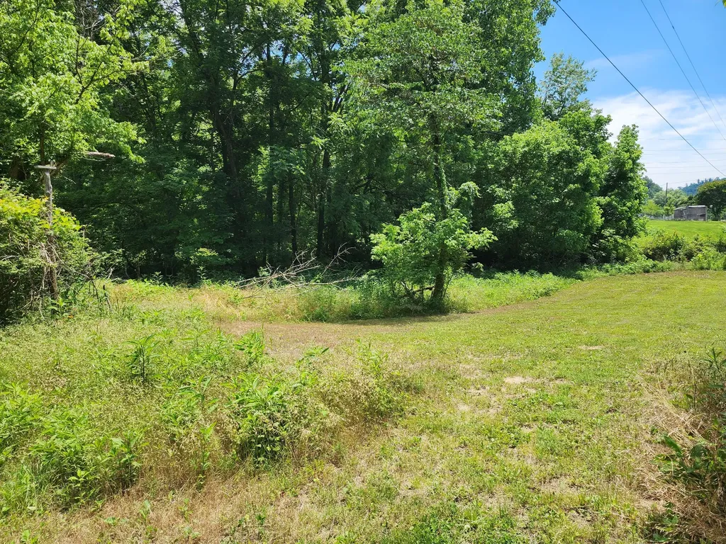 1 Scruggs Hollow Road Hartsville TN 37074