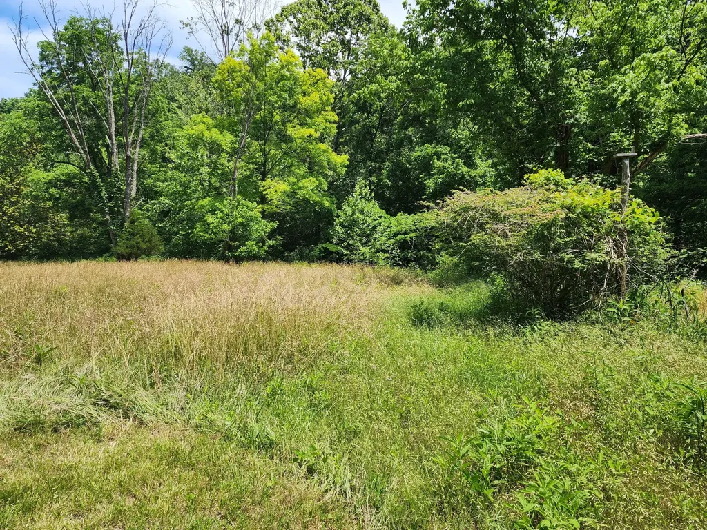 1 Scruggs Hollow Road Hartsville TN 37074