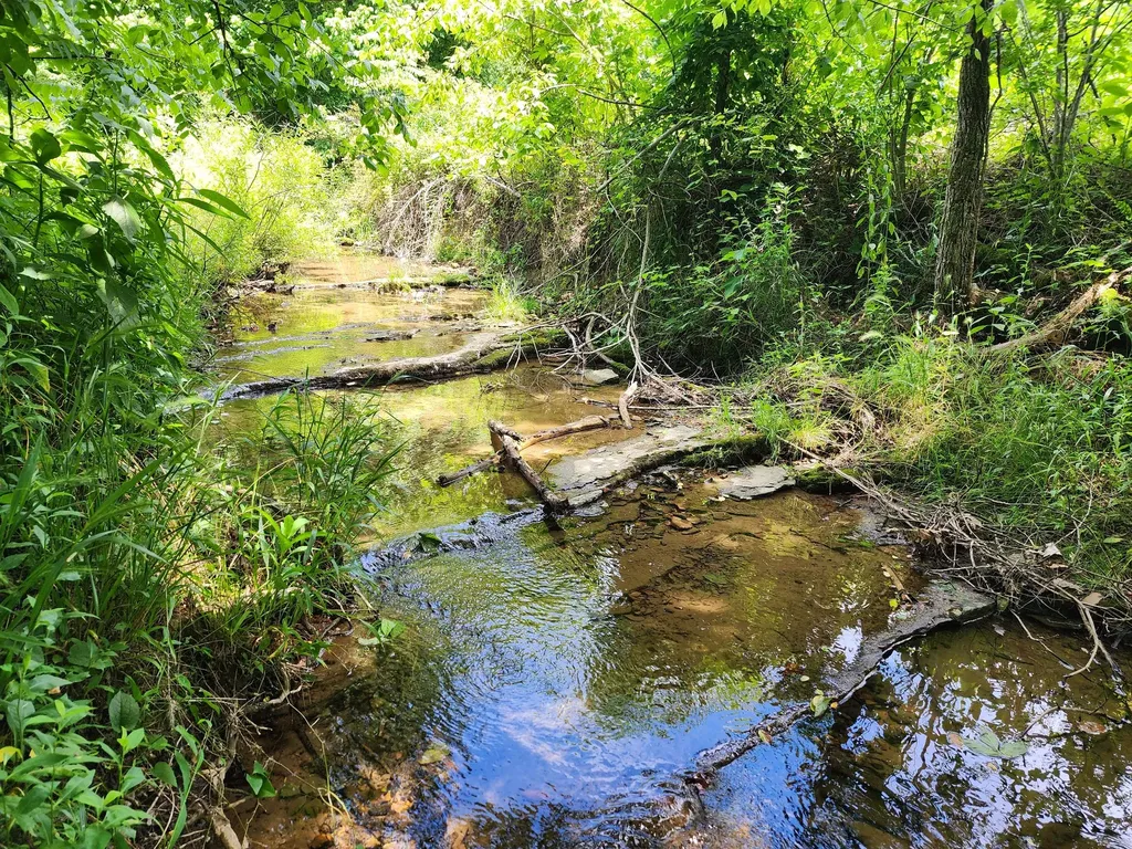 1 Scruggs Hollow Road Hartsville TN 37074