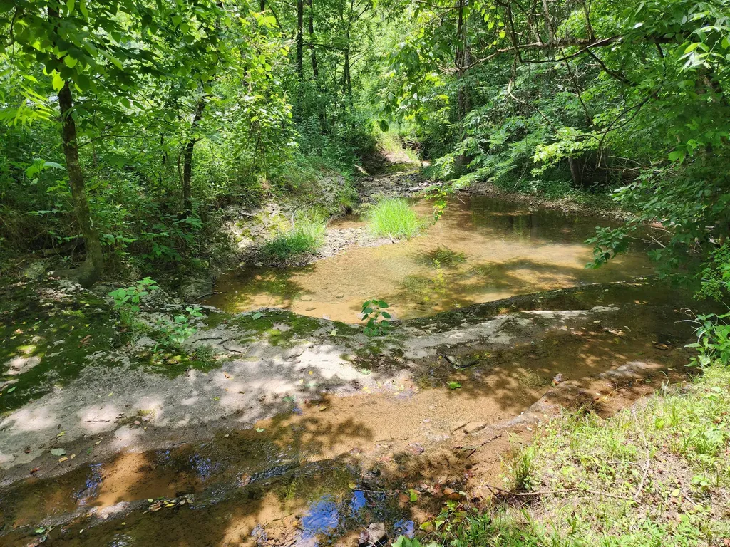1 Scruggs Hollow Road Hartsville TN 37074