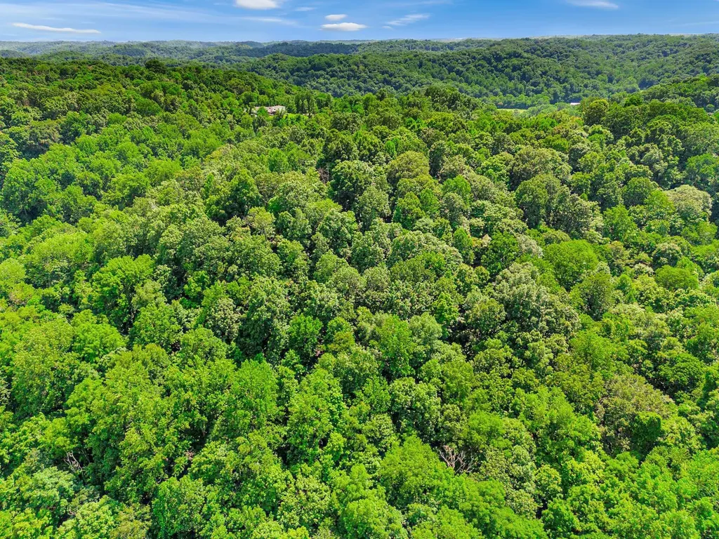 0 Tranham Road Whites Creek TN 37189