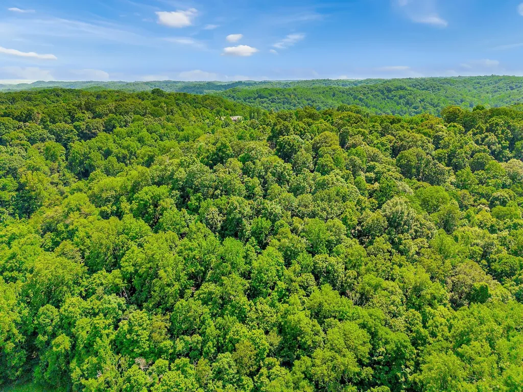 0 Tranham Road Whites Creek TN 37189