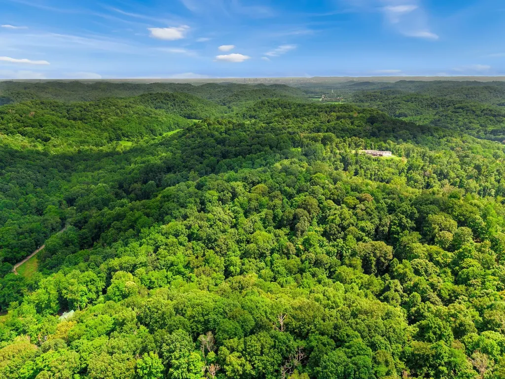 0 Tranham Road Whites Creek TN 37189
