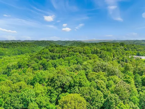 0 Tranham Road Whites Creek TN 37189