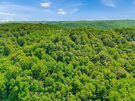 0 Tranham Road Whites Creek TN 37189