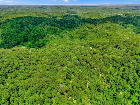 0 Tranham Road Whites Creek TN 37189