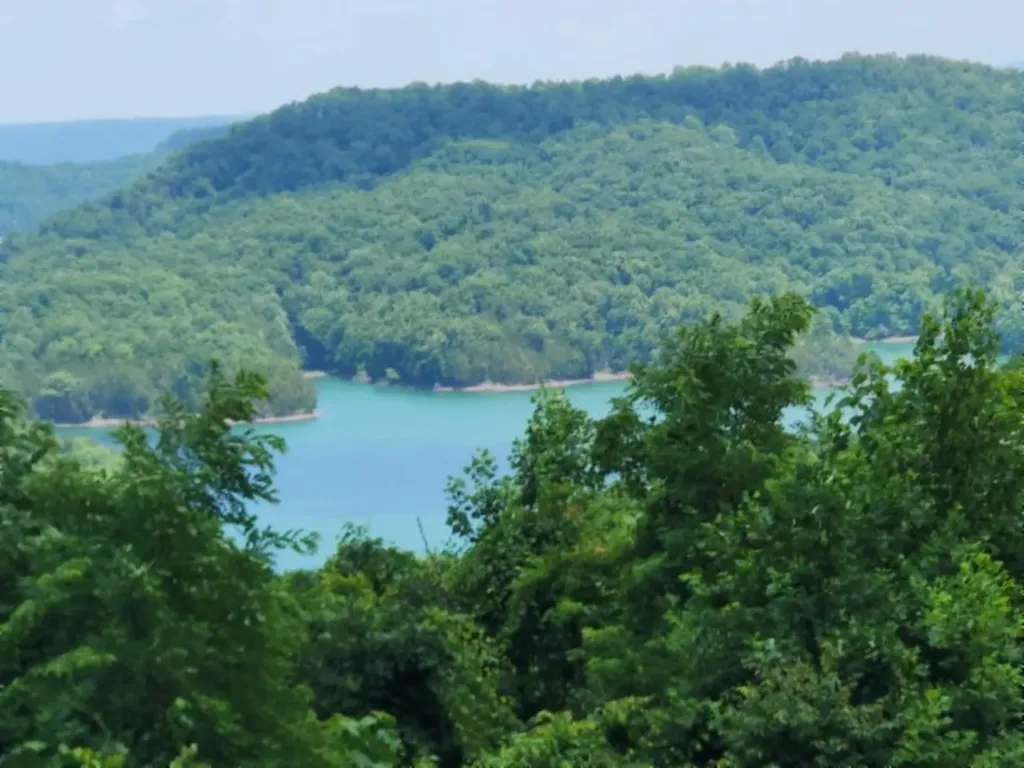 0 Rock Fish Road, E Hilham TN 38568