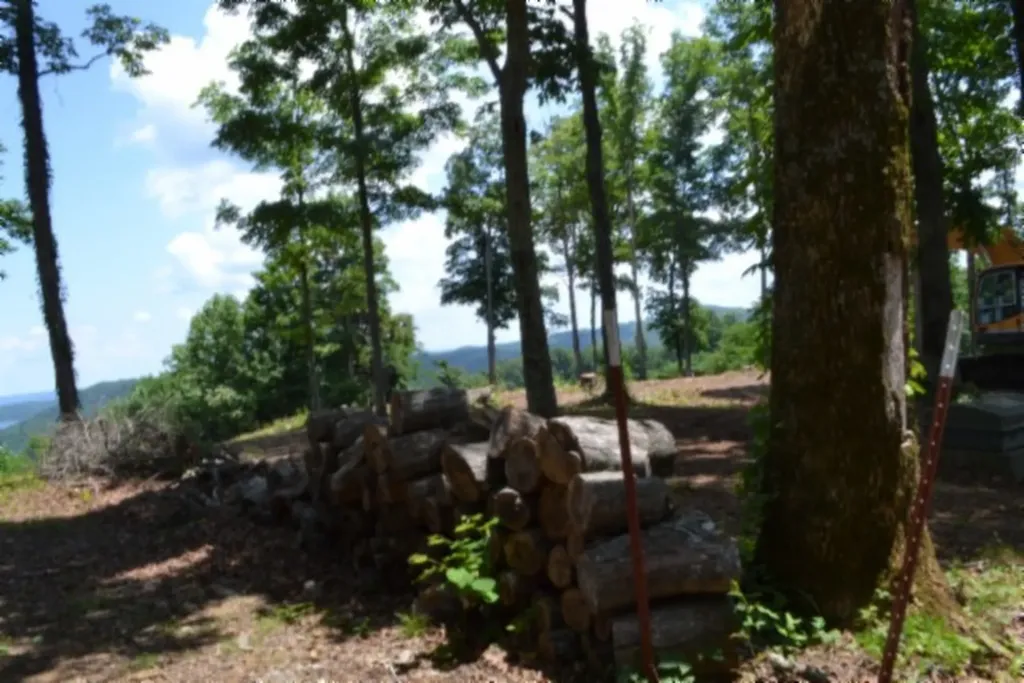 0 Rock Fish Road, E Hilham TN 38568