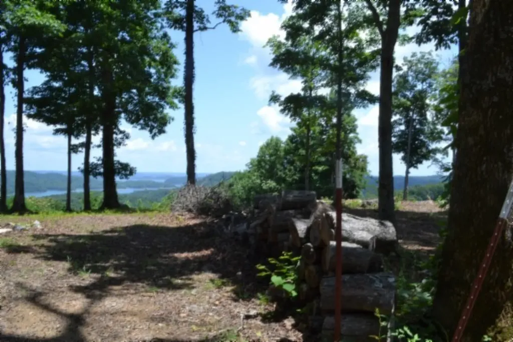 0 Rock Fish Road, E Hilham TN 38568