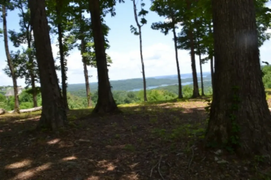 0 Rock Fish Road, E Hilham TN 38568